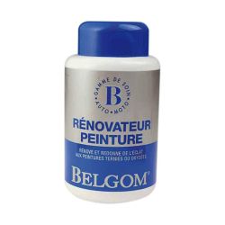 renovator clean renovate paint bike frame vintage belgom